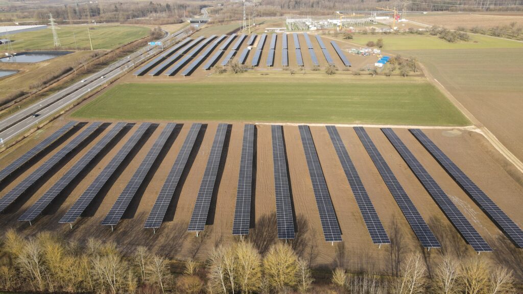 "Die Akzeptanz für Agri-PV ist sehr hoch – besonders in Kombination mit Bürgergenossenschaften"