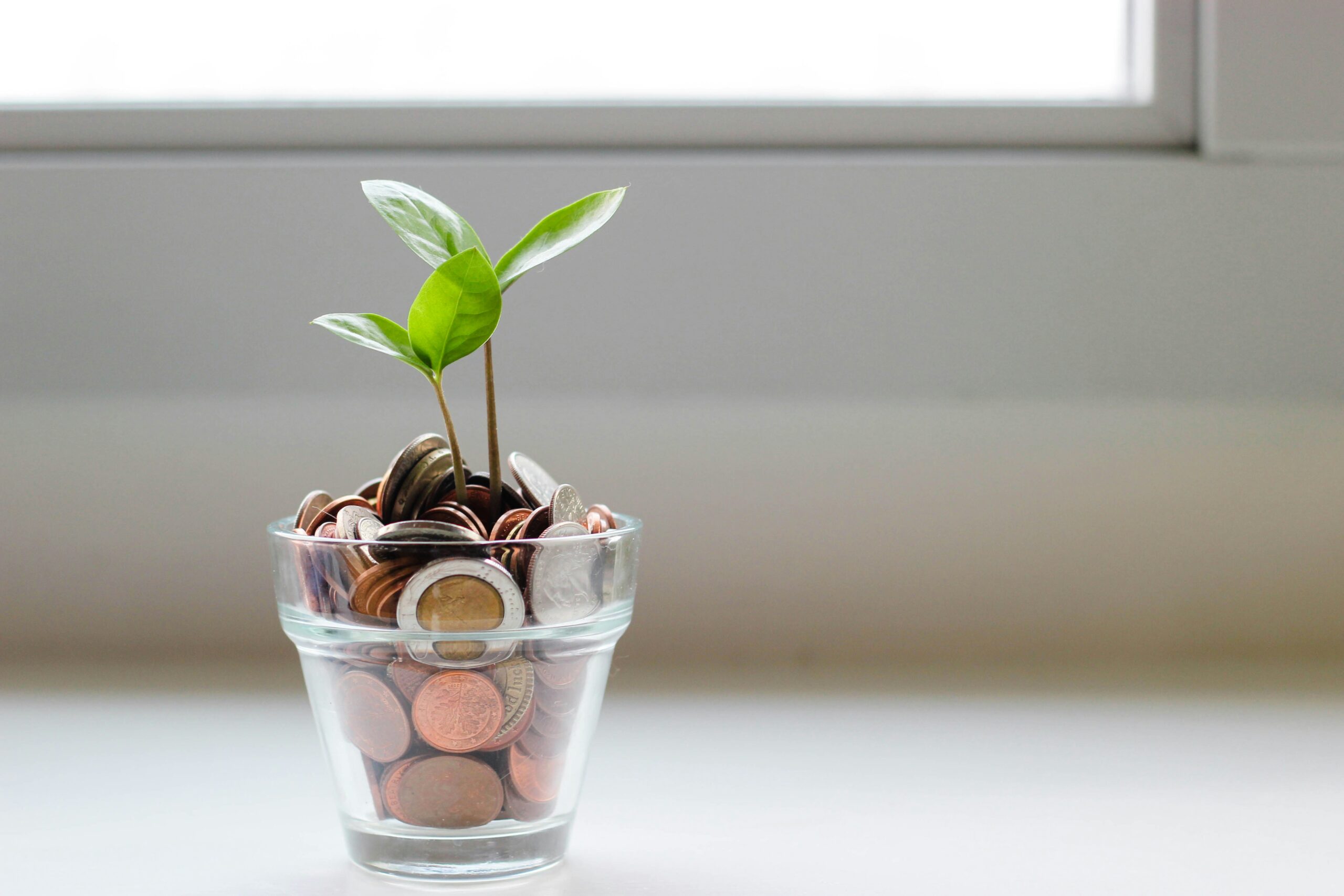Einzelinvestment vs. Energiegenossenschaften
